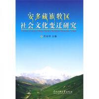 社會經濟咨詢服務 賦能發展，洞見未來